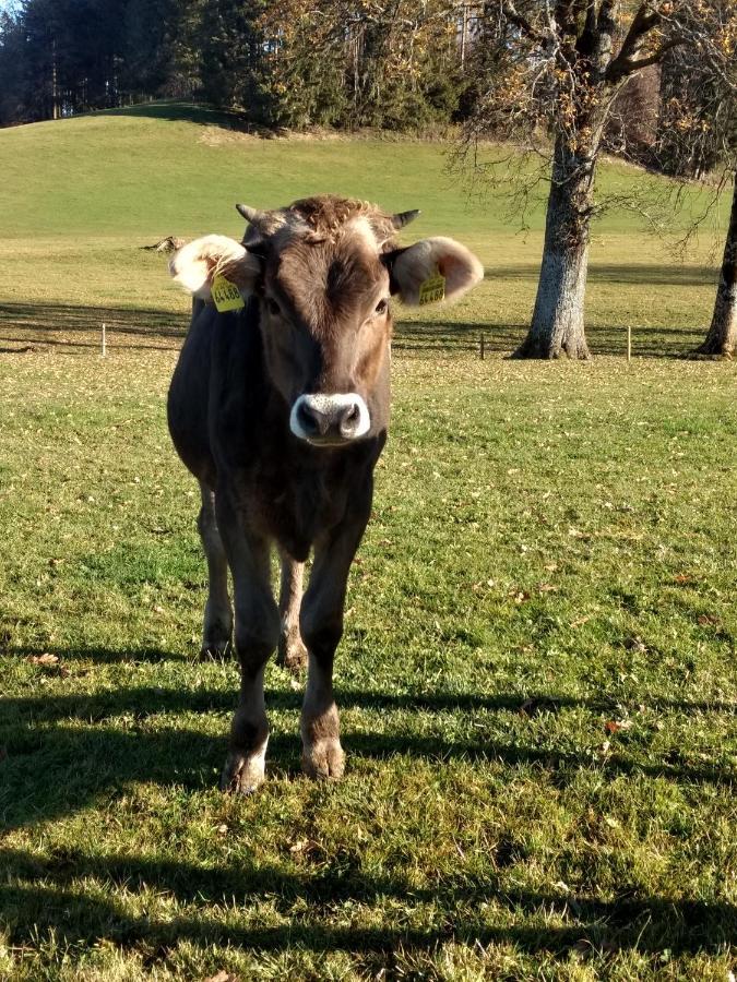Appartamento Eistobel Und Felderhalde Isny im Allgäu Esterno foto