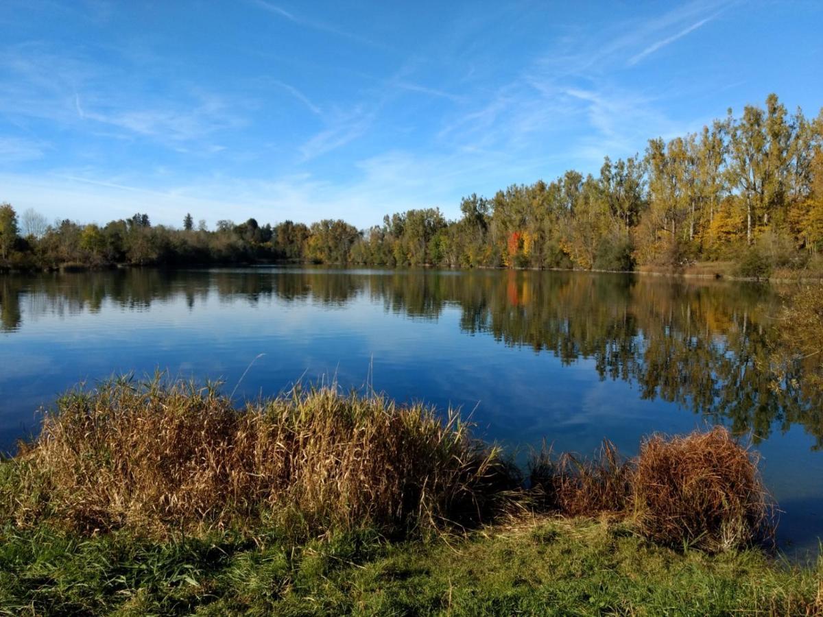 Appartamento Eistobel Und Felderhalde Isny im Allgäu Esterno foto