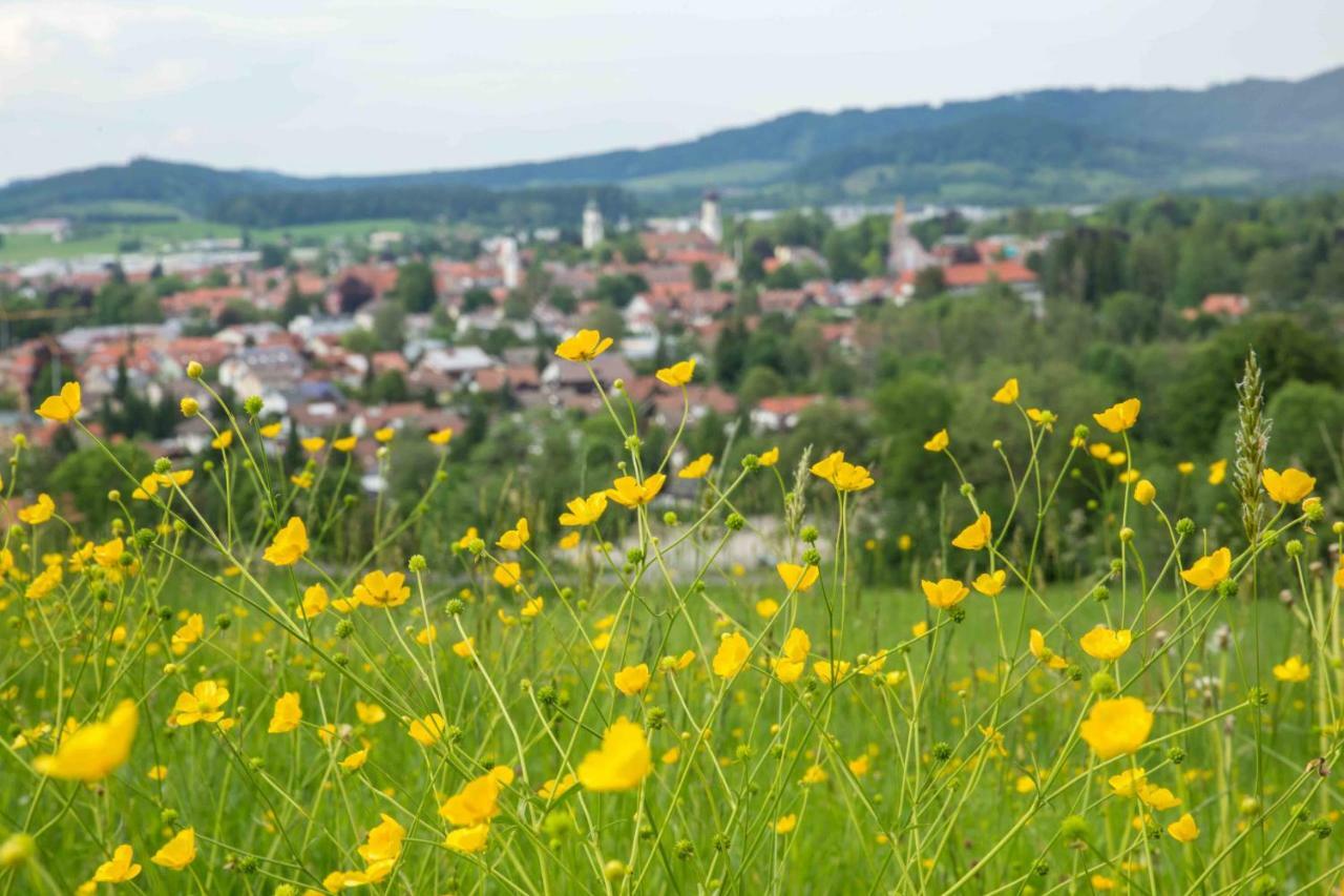 Appartamento Eistobel Und Felderhalde Isny im Allgäu Esterno foto